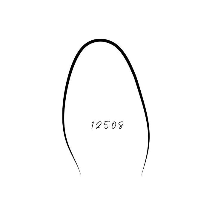 Last 12508
