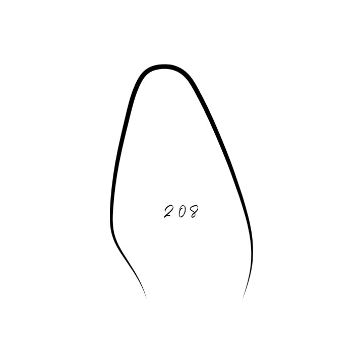 Last 208