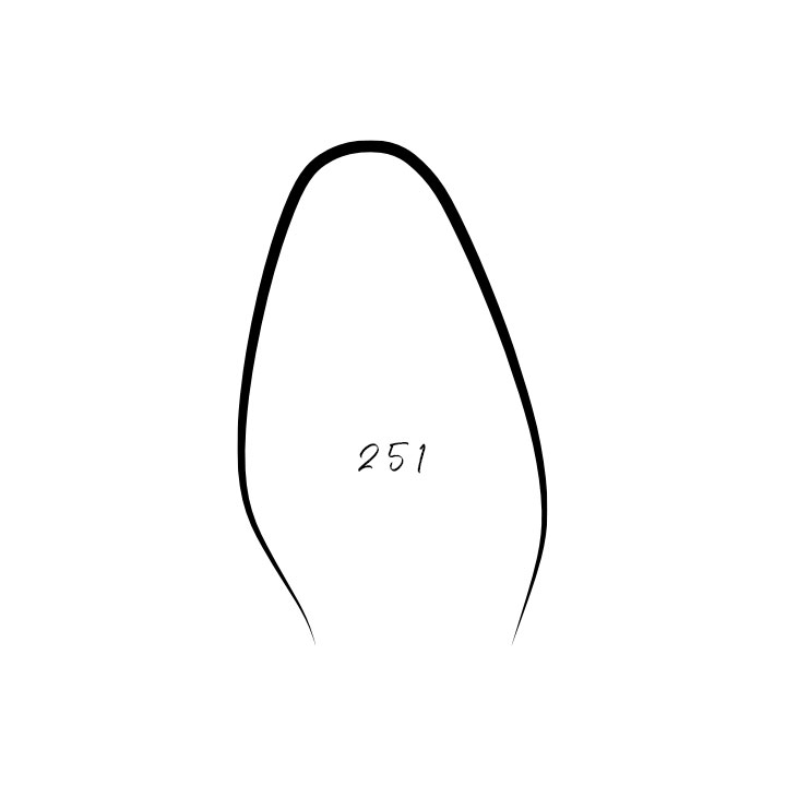 Last 251