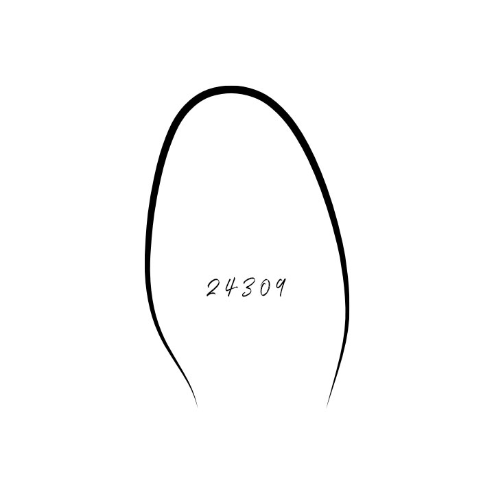Last 24309