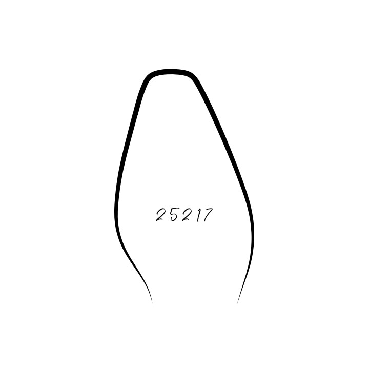 Last 25217