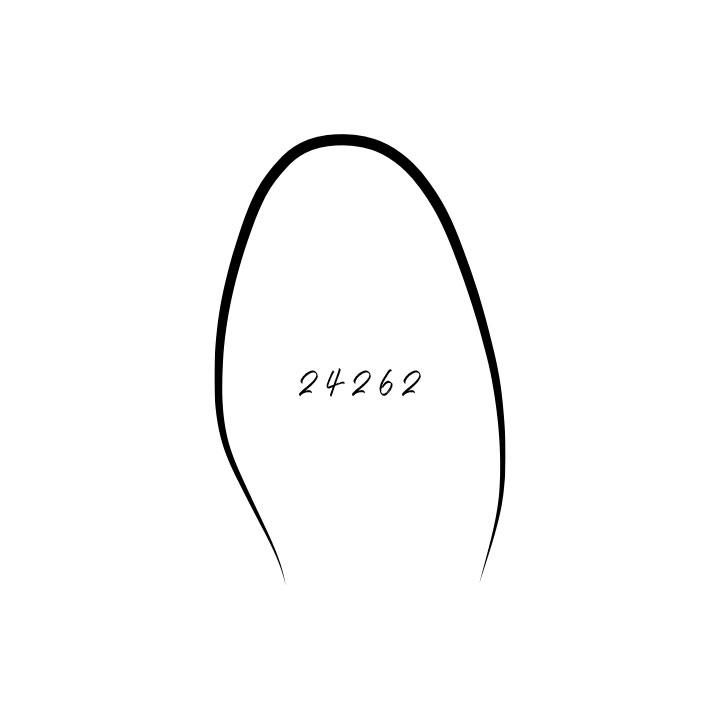 Last 24262